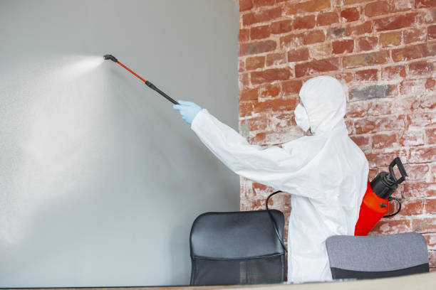 Dehumidification Services in Granite Falls, NC