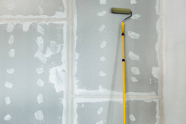 Best Biohazard Mold Removal  in Granite Falls, NC