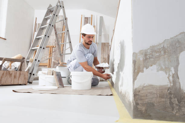 Mold Odor Removal Services in Granite Falls, NC