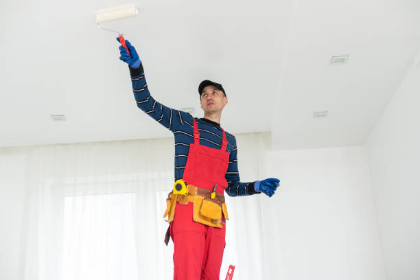Best Mold Removal for HVAC Installations  in Granite Falls, NC