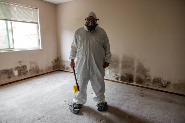 Best Air Quality Testing for Mold Spores  in Granite Falls, NC
