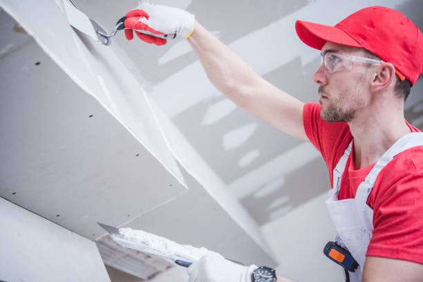 Best Mold Odor Removal Services  in Granite Falls, NC